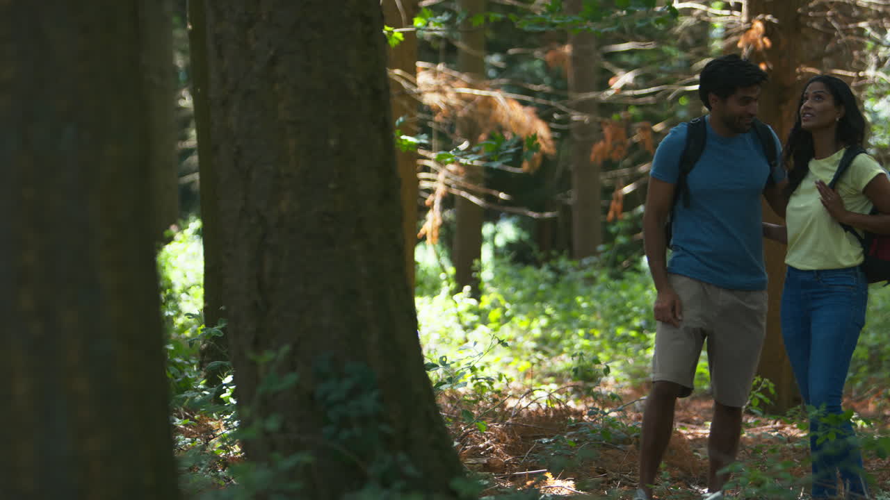 Casal com Mochilas Caminhando ou Percorrendo a Zona Rural Arborizada no Verão