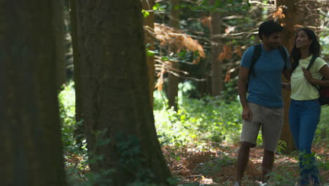 couple with backpacks hiking or walking through woodland countryside in summer