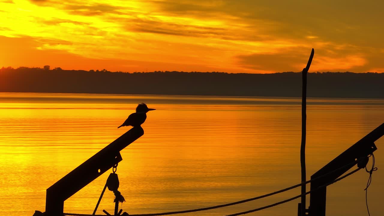 Vista cinematografica del mare al tramonto arancione dell'ora dorata con sagoma di martin pescatore appollaiato sul bordo di una barca