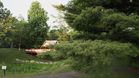 panning aerial view past a tree revealing lovers retreat in roger williams park