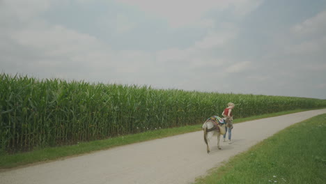 girl leading a donkey along a dirt road next to a cornfield