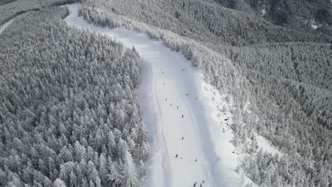 aerial shot of people skiing down the slope