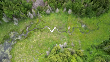 aerial topdown view of meandering river flowing through lush green meadow