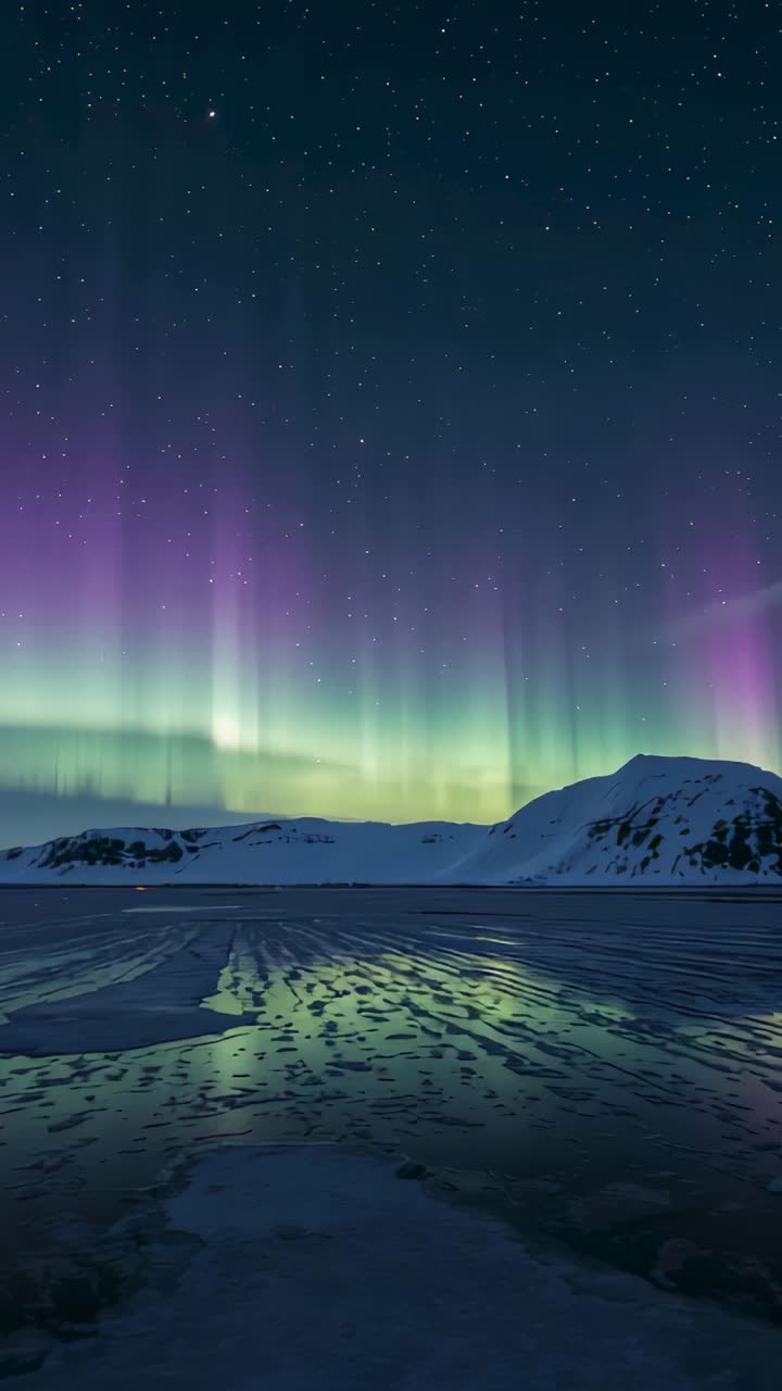 Vertical video: Painting aurora borealis brightening over frozen shoreline, reflecting on ice pools