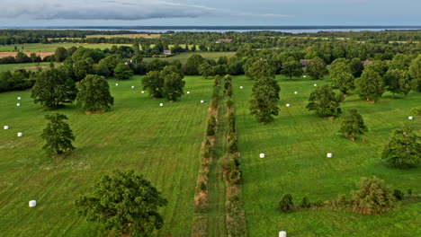 Flying-over-grassland-dotted-with-oak-trees