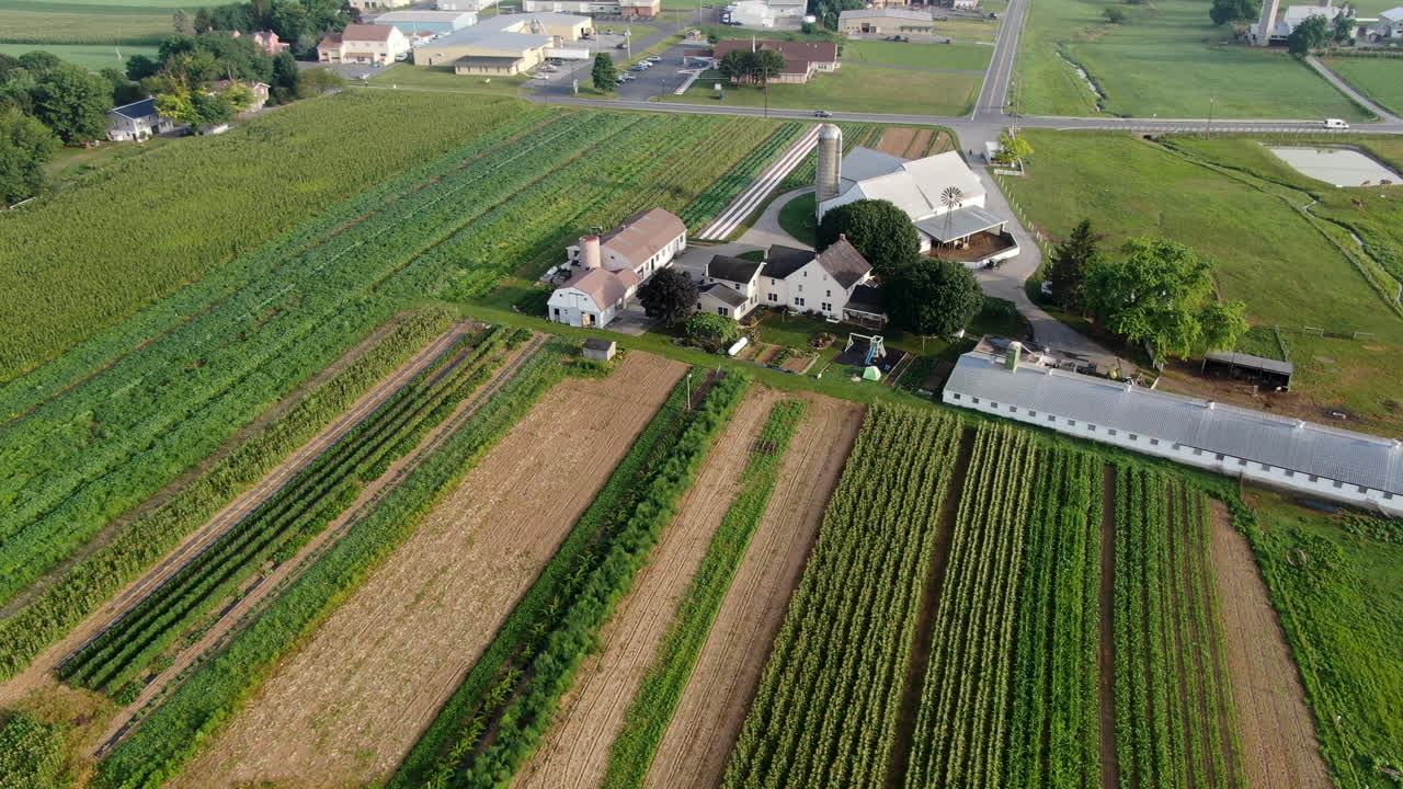 미국 펜실베니아 랭커스터 카운티의 시골 농지와 채소 작물 줄에 있는 아미쉬 가족 농장의 공중 궤도