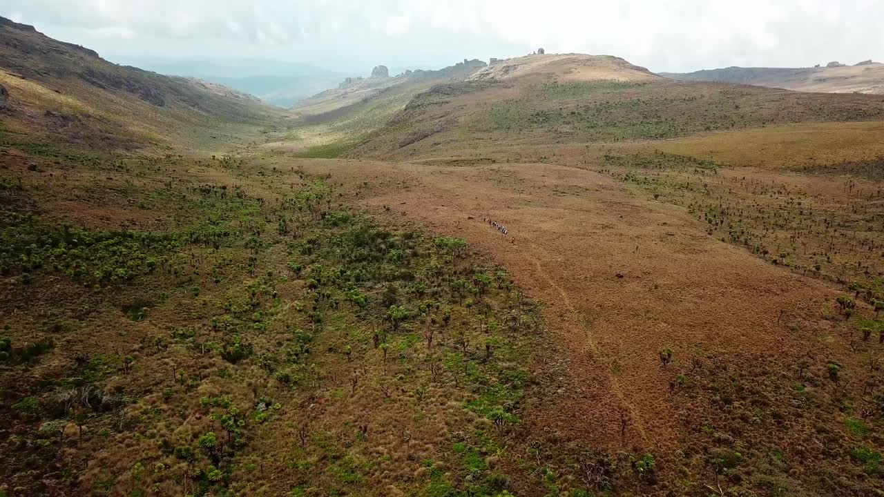 Wilderness With Backpackers Walking Across Vegetations And Mountains In Mount Elgon National Park In Kenya, East Africa. Aerial Wide Shot