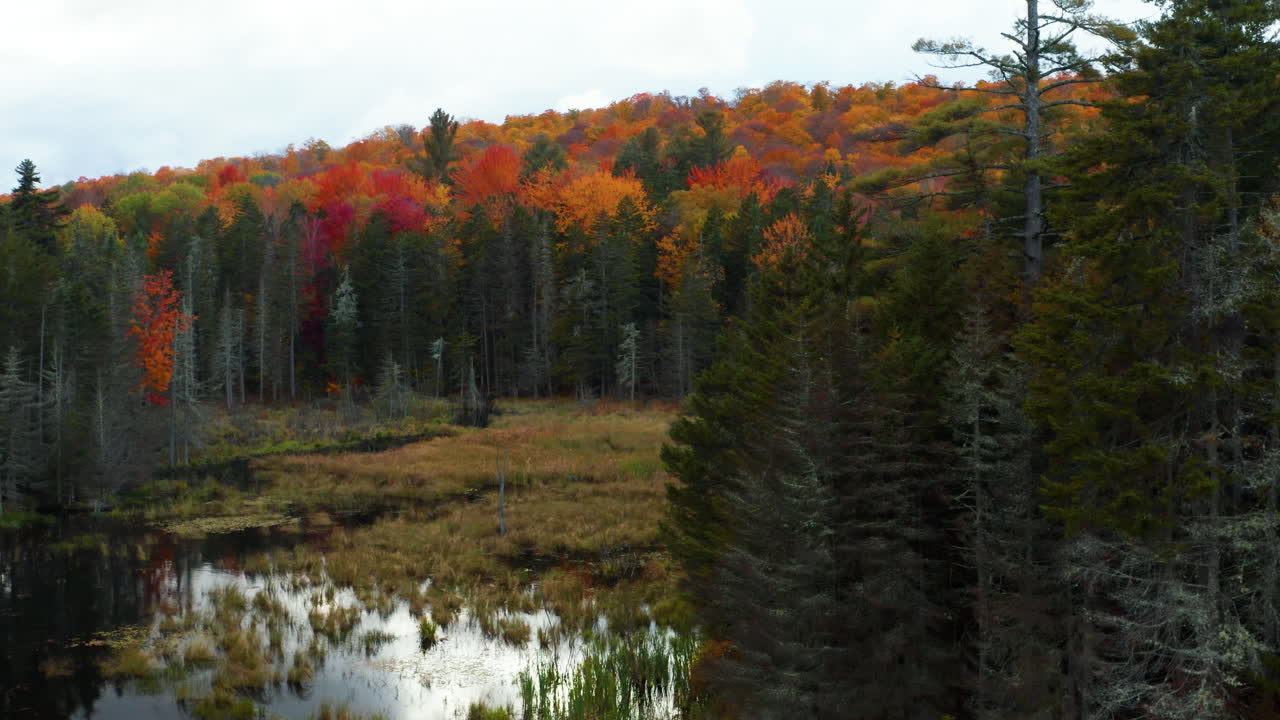 hermosa toma aérea de seguimiento lateral de un pequeño estanque en medio de un bosque que cambia de color para el otoño