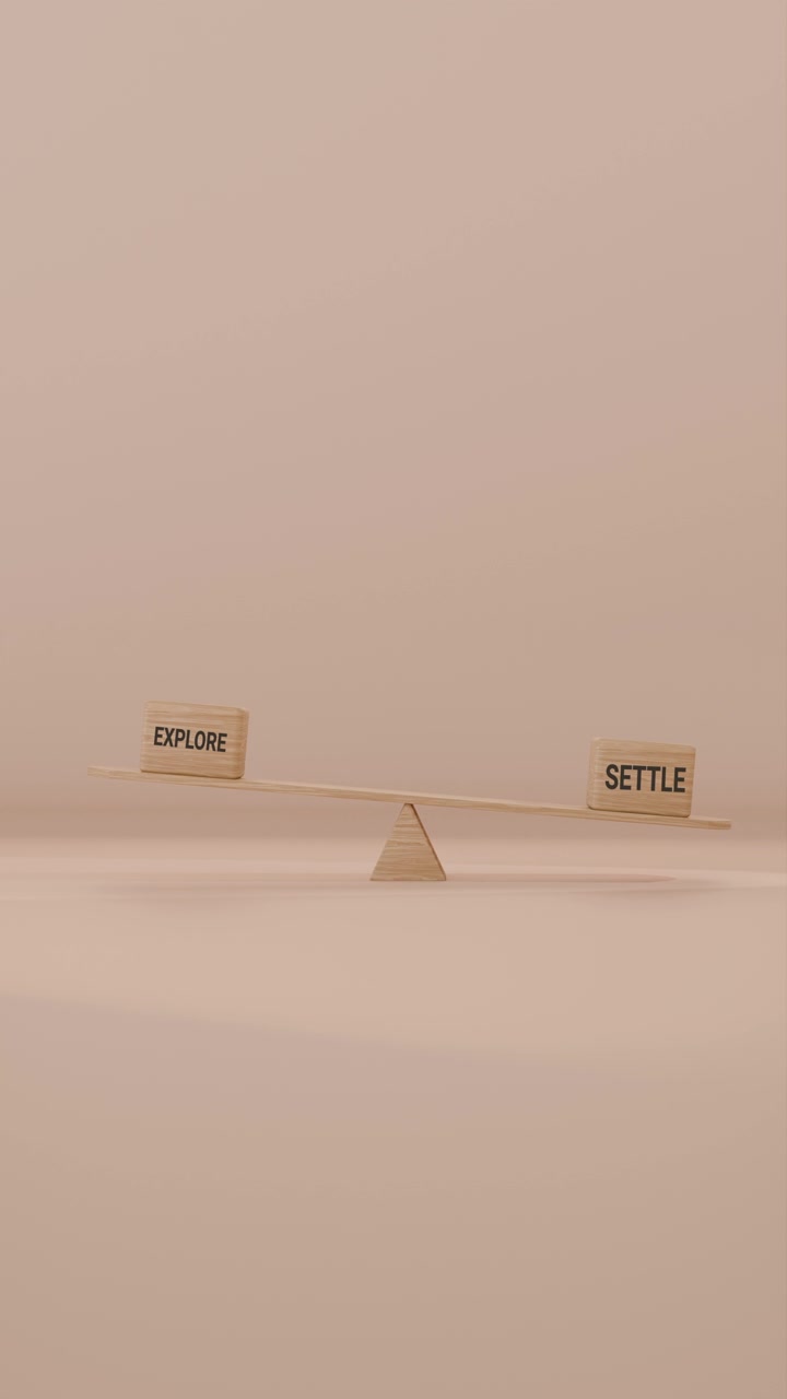VERITCAL VIDEO OF EXPLORE AND SETTLE BALANCING ON SEESAW