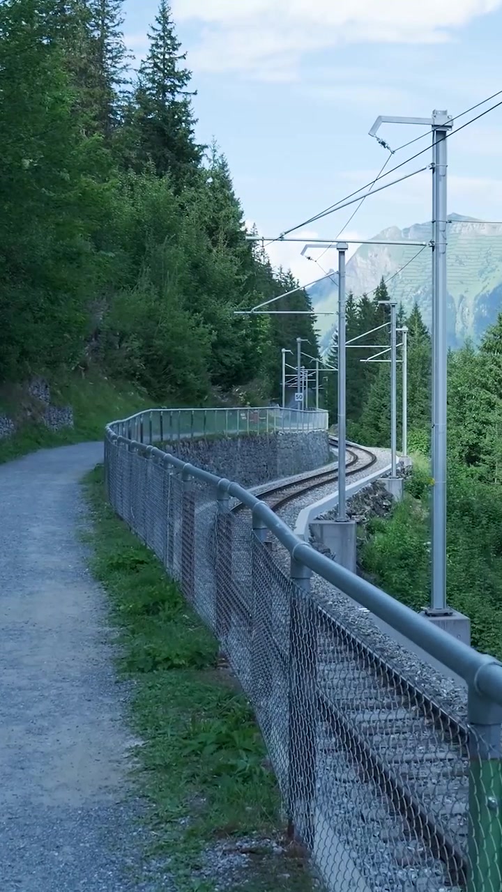 Naturskønne bjergbanespor, der snor sig gennem alpeskov