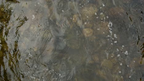 Aerial-over-river-following-water