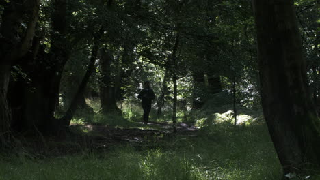 Silueta-De-Hombre-Tomando-Fotos-En-La-Distancia-En-El-Bosque-Arbolado