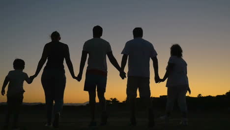 gran familia amistosa caminando al aire libre al atardecer