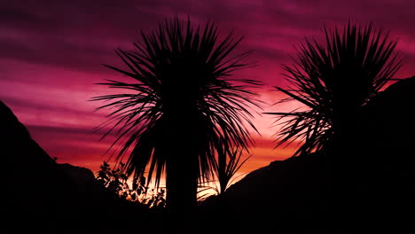 Silueta-De-Palmeras-Durante-La-Puesta-De-Sol-Con-Un-Espectacular-Cielo-Rojo