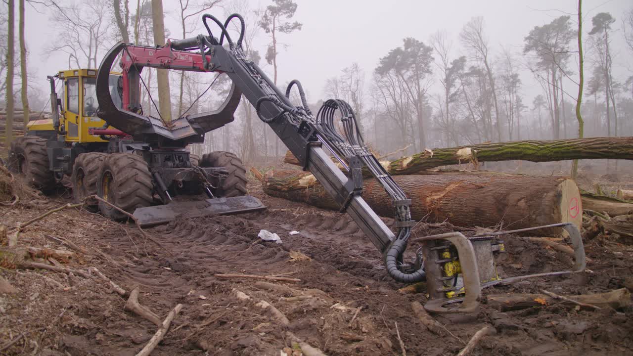 toma de una excavadora de árboles en medio de un bosque destruido.