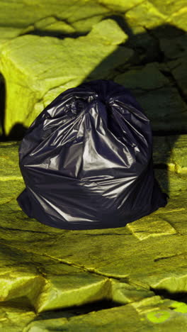 a black bag contrasts beautifully with a vibrant green surface