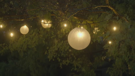 dancing lantern and lights hang in a tree in the rain at night