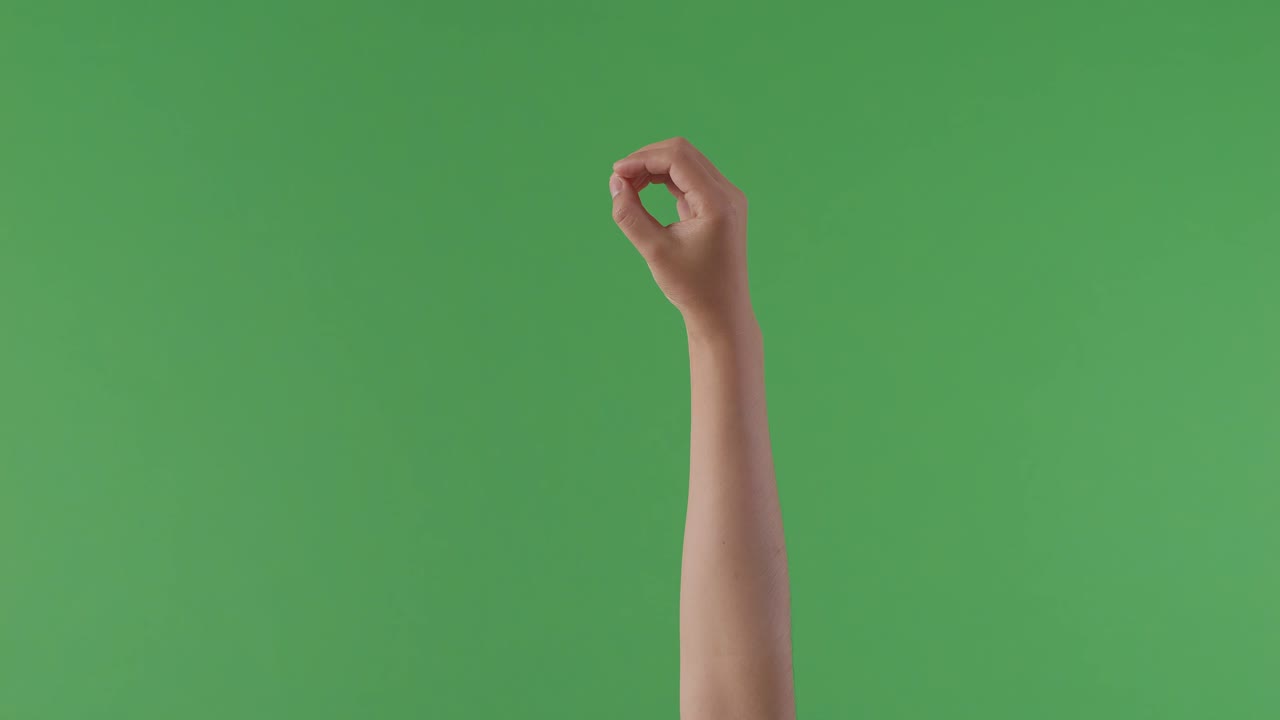 o 글자를 몸짓으로 표시하는 손