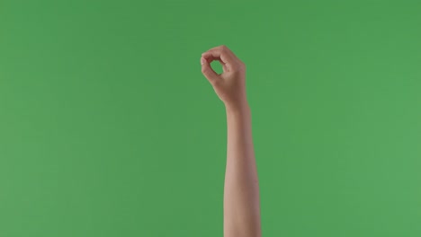 o 글자를 몸짓으로 표시하는 손