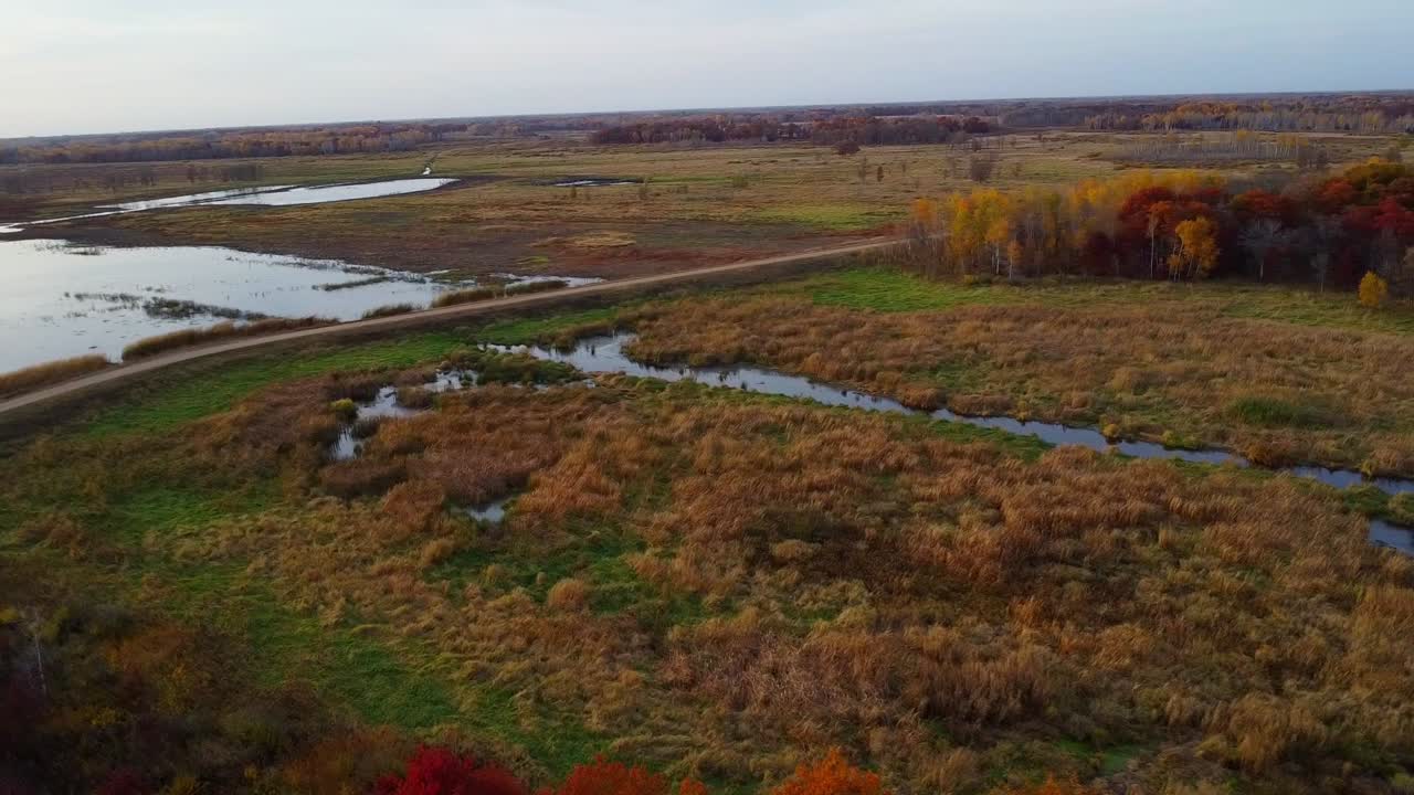 Sunset landscape over the dirt road that surrounds the wetlands and the banks of withered vegetation in autumn.