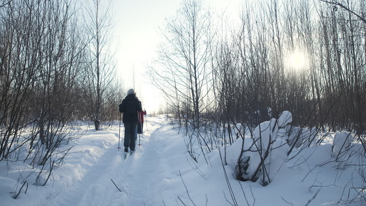 esquí de fondo en un bosque nevado
