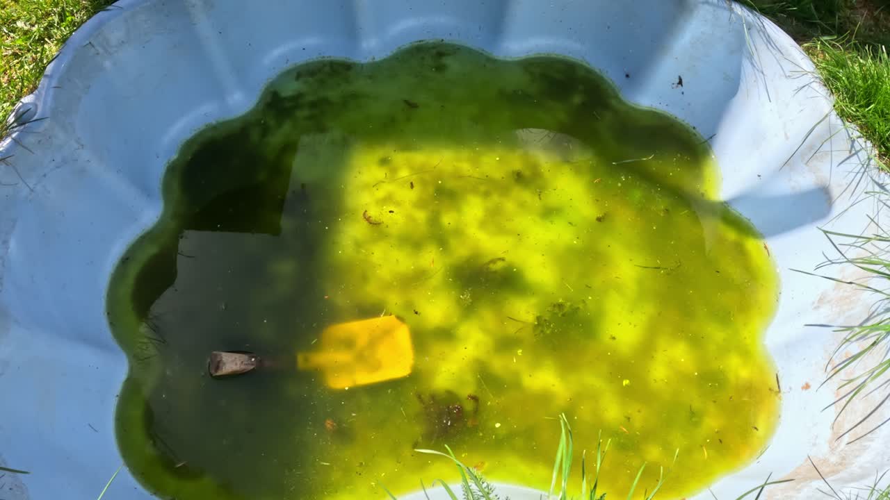 Dirty pond water in garden. Turbid water outdoors.