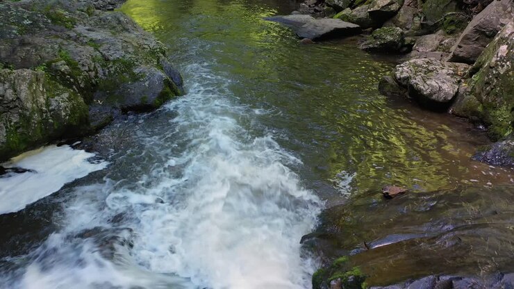 Ruscello con piccole cascate nelle Smoky Mountains.