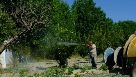 adult man sprays medicine garden