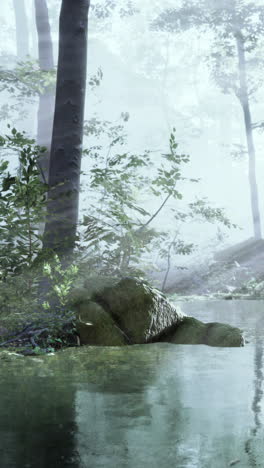 misty forest river scene