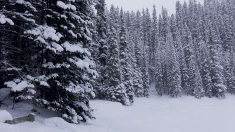 Mirror-Lake-Snowfall,-Banff-National-Park.-4K