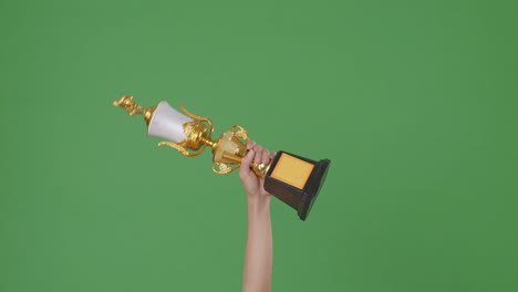 raised hands of a man are holding a trophy. green screen background