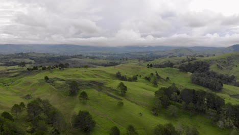 Volando-Sobre-Las-Vibrantes-Colinas-Cubiertas-De-Hierba-De-Las-Tierras-Altas,-Fondo-Pintoresco-De-Papúa-Nueva-Guinea