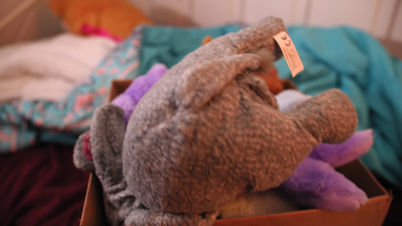 Kutuya doldurulmuş peluş oyuncaklar.