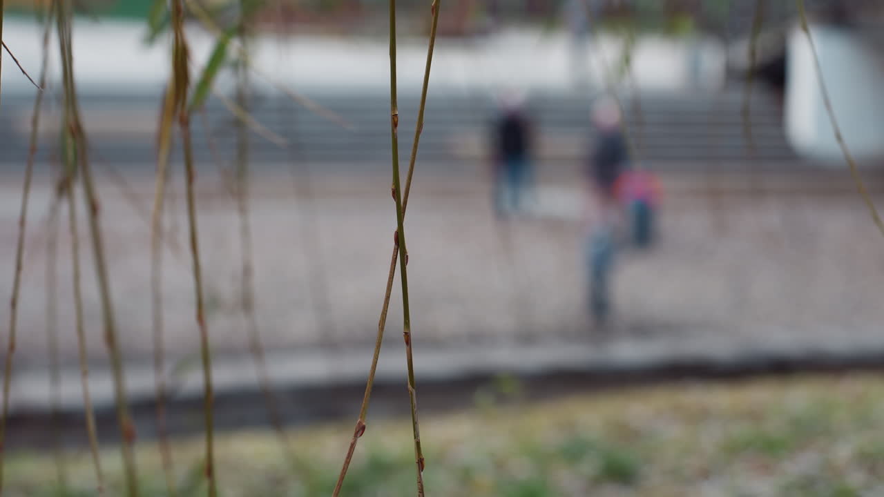 Close up thin winter branch with green and brown leaves swaying in wind, soft focus background reveals calm urban park with stone pavement, trees, and blurred figures passing by in distance