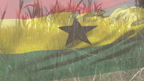 composición digital de ondear la bandera de ghana contra el cierre de los cultivos en el campo agrícola