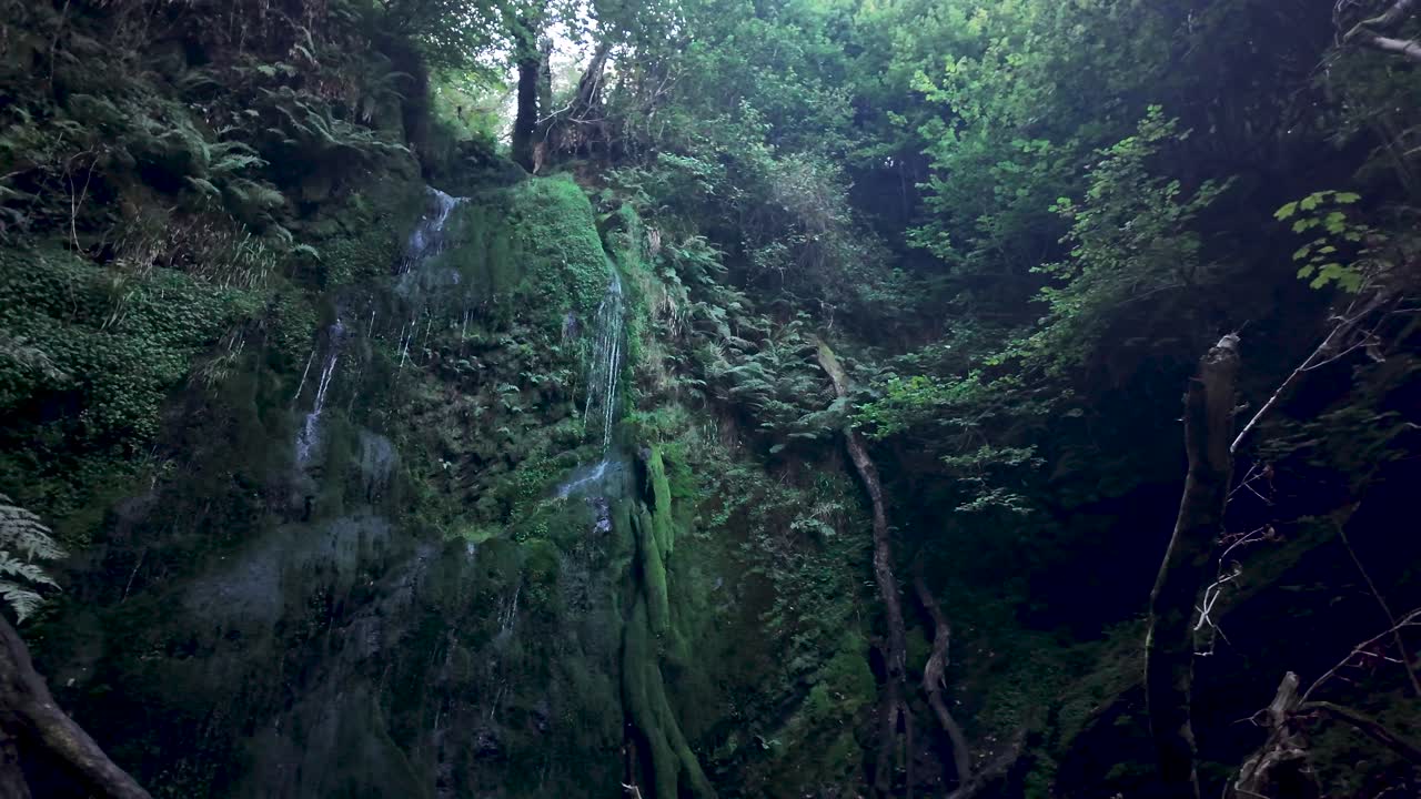 Waterfall flowing down a moss covered cliff in Dhoon Glen, Isle of Man