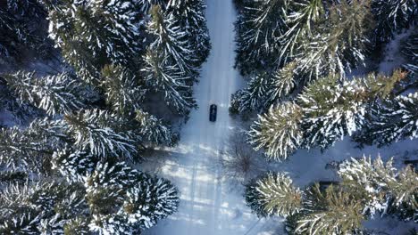 car driving on snowy road between pine tree forest at winter