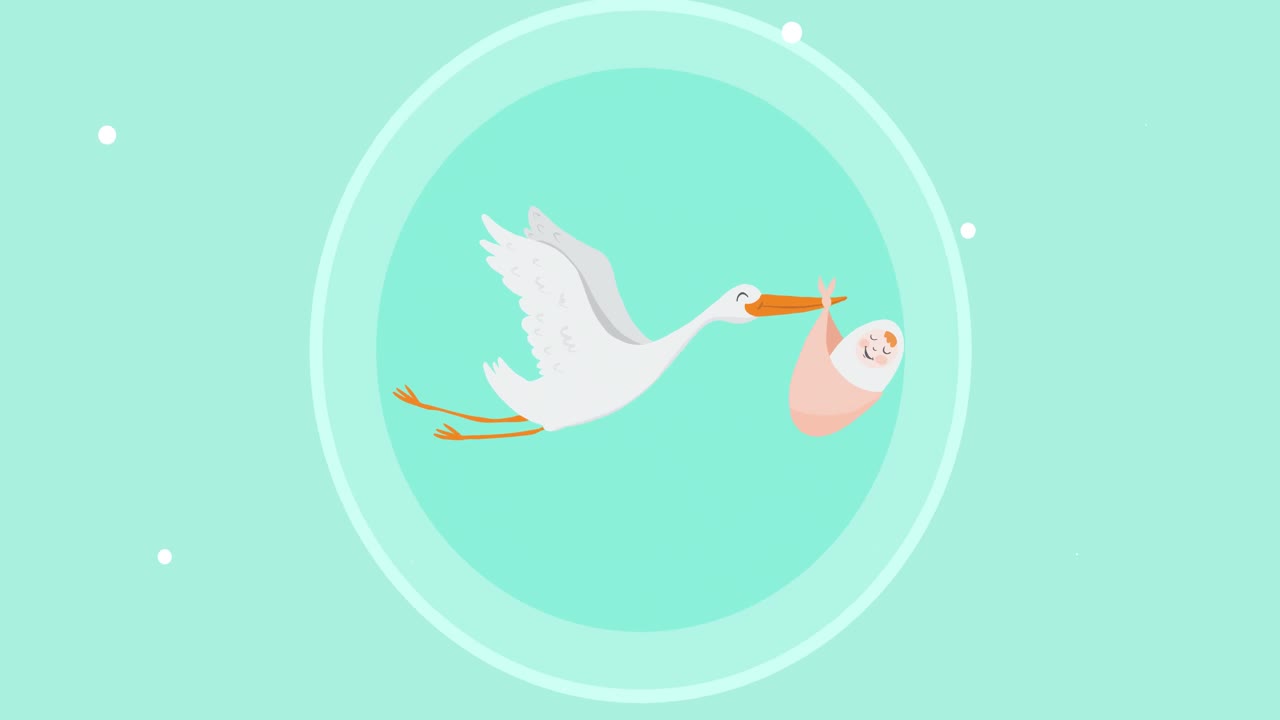 animación de una cigüeña llevando a un bebé recién nacido sobre un fondo verde