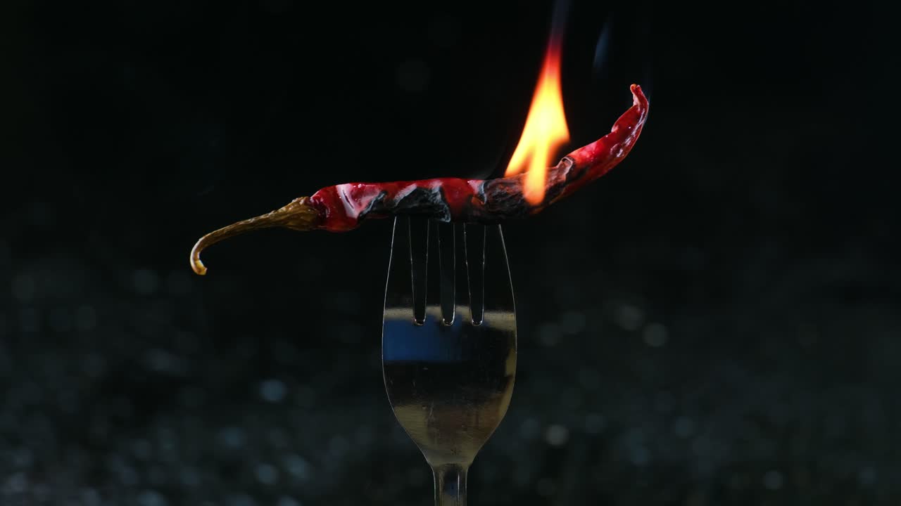 Bangladesh's Flaming Flavor: Dry red Chili on a Fork