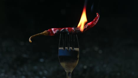 Bangladesh&#039;s Flaming Flavor: Dry red Chili on a Fork
