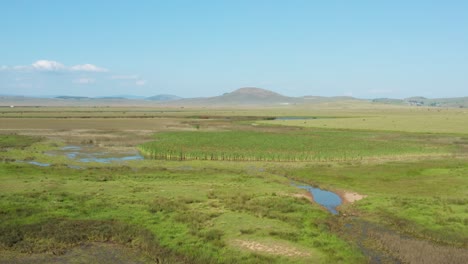 Schönheit-In-Der-Natur