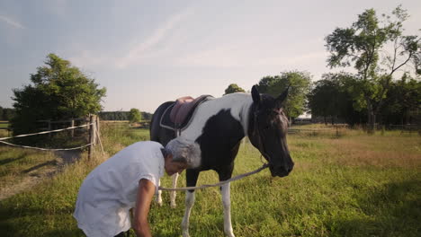 experience the warmth as an elderly woman tends to her horse in the peaceful yard