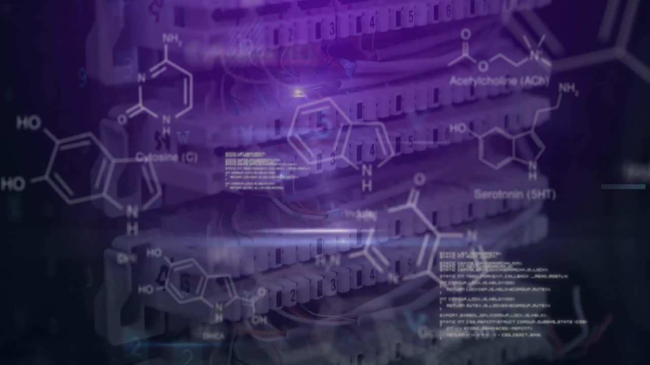 모양의 애니메이션과 서버  ⁇ 에서 데이터 처리