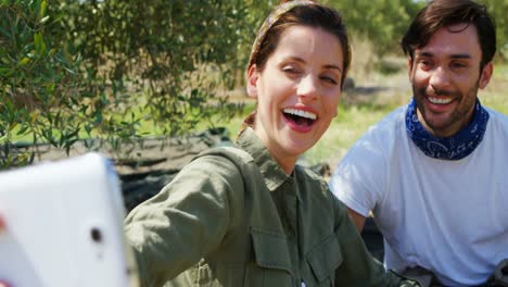 happy couple taking selfie from mobile in olive farm 4k