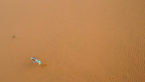 Aerial-top-down,-girl-in-bright-blue-hijab-running-on-vast-desert-sand-dune