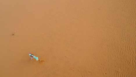 aérea de arriba hacia abajo, chica con hiyab azul brillante corriendo en una vasta duna de arena del desierto