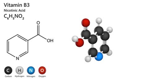 vitamin b3(nicotinamide). seamless loop.