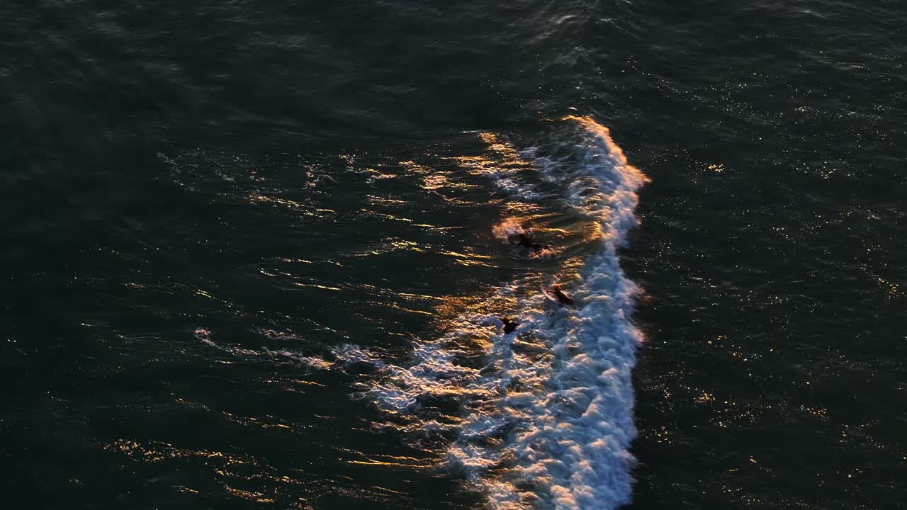 Ripresa aerea con drone, surfisti che cavalcano onde dorate mentre il tramonto accende il mare — ombre che si allungano, acqua che brilla, ogni cavalcata un fugace tratto di luce e movimento