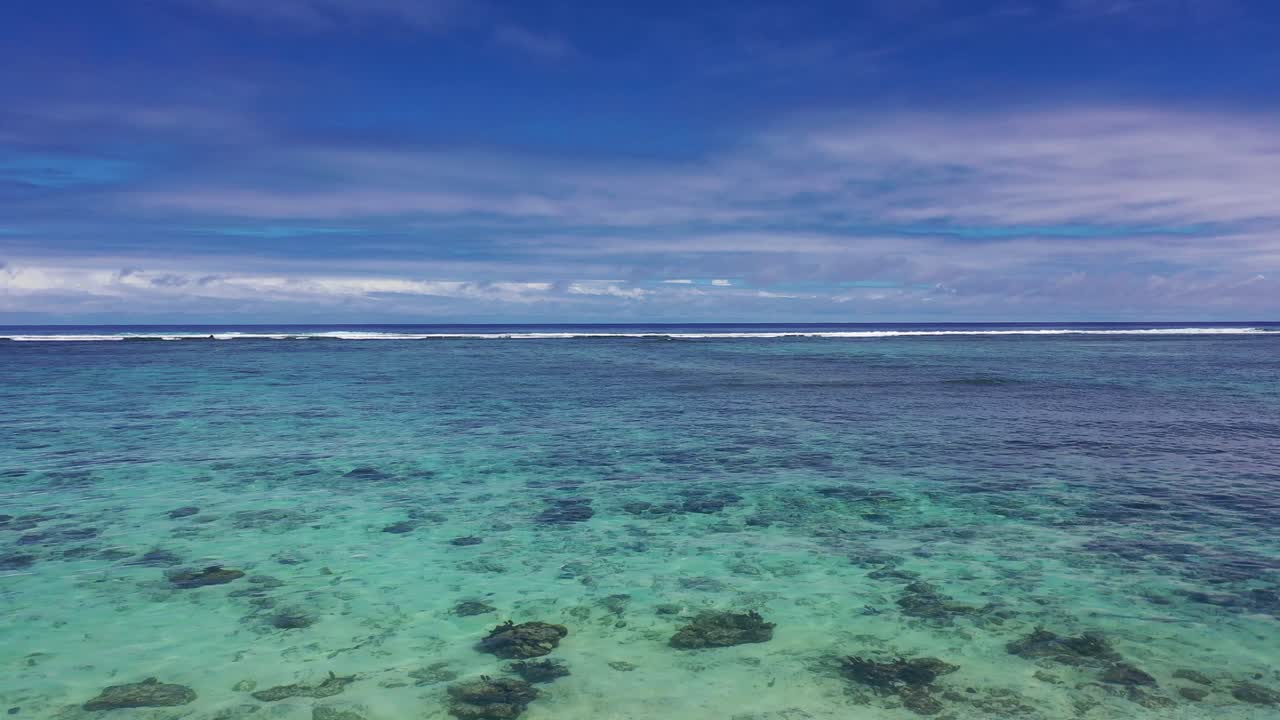 쿡 제도 - 야자나무 아래에서 드론 시작