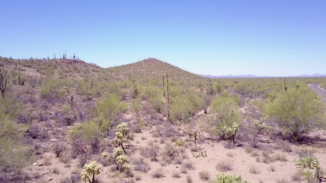투손 애리조나 2 근처 이랍니다 국립 공원에서 선인장 위로 공중 촬영